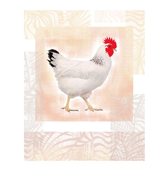 Rooster Kitchen Decor Farmhouse Decor Rooster Print Country - Etsy