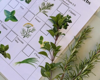 Puede incluir: Una hoja de actividades de cata de hierbas plastificada con el texto Can you find and taste the herbs listed below? que incluye ilustraciones de albahaca, eneldo, cilantro, menta, hinojo, orégano, menta chocolate y cebollino, con ramas de romero.