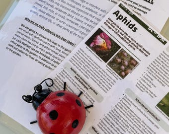 Puede incluir: Una hoja informativa impresa titulada Integrated Pest Management con texto sobre pulgones y mariquitas, acompañada de una figura de mariquita roja y negra. El documento incluye secciones sobre qué es una plaga y el uso de pesticidas.