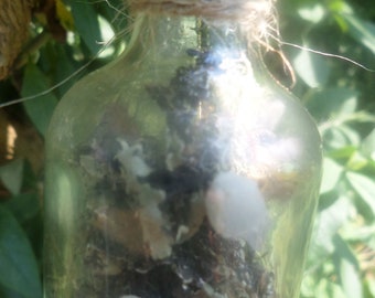 Petite bouteille en verre avec lichen et cristaux