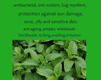 Lemon Balm Salve/Balm