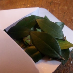 Natural Confetti with Fragrant Leaves & Flowers image 2