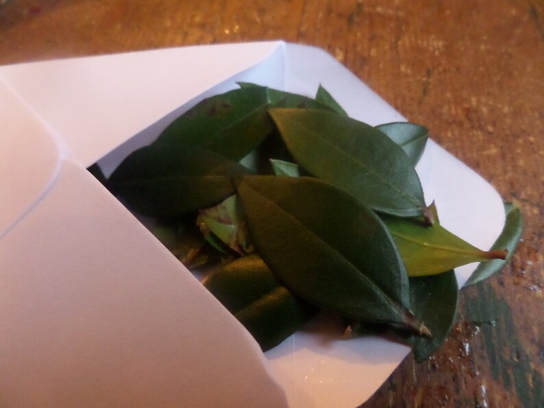 Natural Confetti with Fragrant Leaves & Flowers image 2