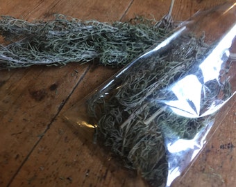 Dried cotton lavender 5 gram bag