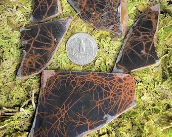 Lapidary Parcels- Agates, Jasper, Mexican Crazy Lace, and more