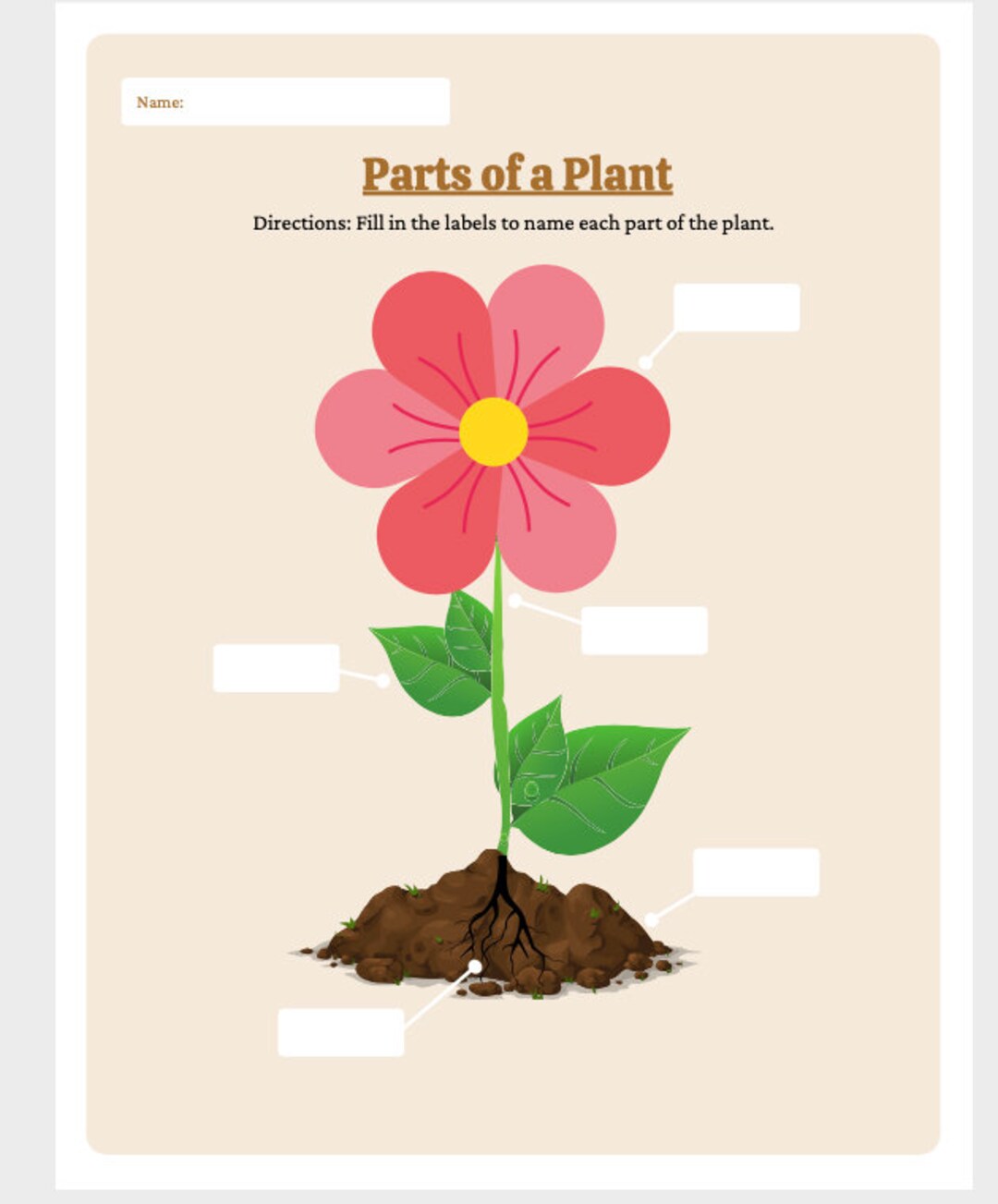 Parts Of A Plant Worksheet Parts Of The Plant Labeling Etsy Hong Kong