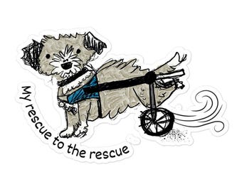 Mi rescate para el perro de rescate