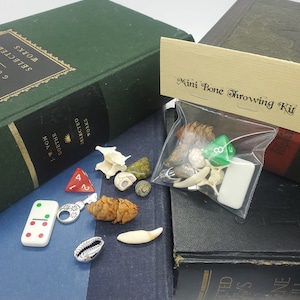 May include: A small plastic bag labeled "Mini Bone Throwing Kit" containing a variety of small bones, shells, and other natural objects. The bag is sitting on top of a stack of books with green and blue covers.