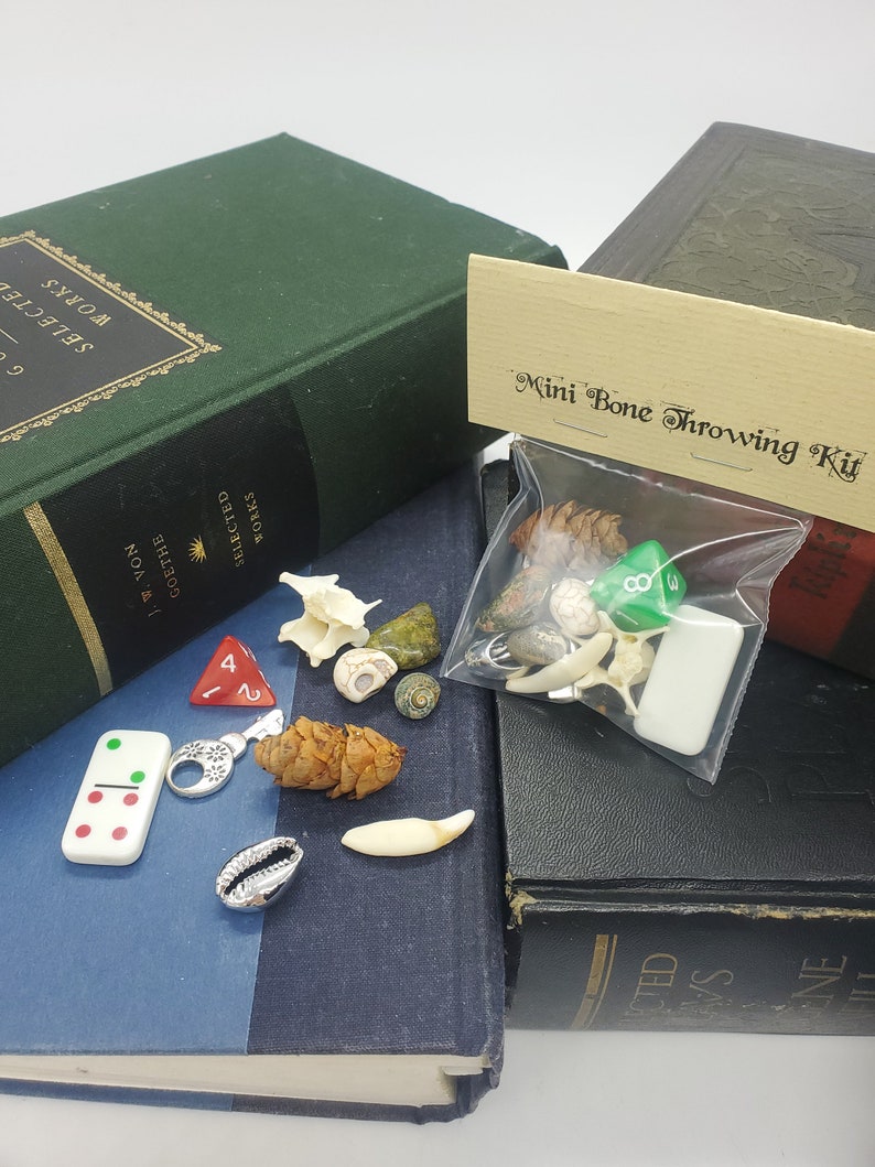 May include: A small plastic bag labeled "Mini Bone Throwing Kit" containing a variety of small bones, shells, and other natural objects. The bag is sitting on top of a stack of books with green and blue covers.