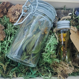 Kleine glazen pot van 1/2 oz biologische gedroogde sint-janskruidbladeren en -bloemen