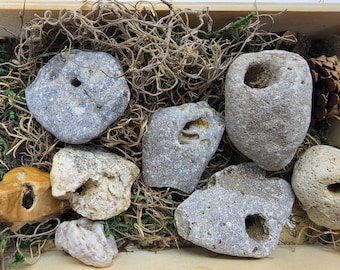 Small Natural Hag Stone | Witch Stone / Fairy Stone | Foraged Curio for Protection & Display