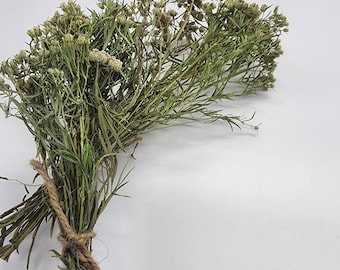 Mountain Mint Smudge Stick | Organic Cleansing Herb Bundle