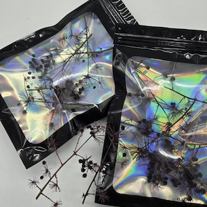 May include: Two clear plastic bags with black borders, each containing dried black berries and branches. The bags have a holographic iridescent finish.
