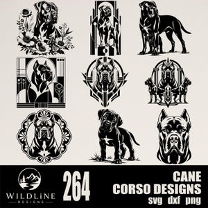 Könnte beinhalten: Eine Sammlung von schwarz-weißen Cane Corso Hundeillustrationen mit verschiedenen Posen, floralen Akzenten und geometrischen Rahmen. Der untere Text lautet 264 CANE CORSO DESIGNS svg dxf png zusammen mit dem Wildline Designs Logo.
