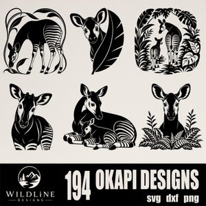 Op de afbeelding: Een verzameling van zes zwart-witte grafische illustraties met okapi's in verschillende houdingen, waaronder staand, rustend en omringd door gebladerte. Het onderste gedeelte toont de tekst 194 OKAPI DESIGNS svg dxf png en een WILDLINE DESIGNS logo.