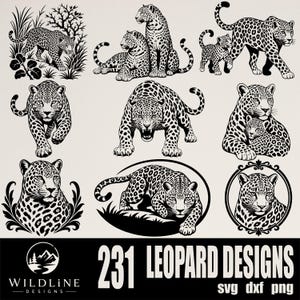 Può includere: Una collezione di illustrazioni di leopardi in bianco e nero con varie pose, tra cui camminare, sedersi e accovacciarsi. La sezione inferiore mostra il testo 231 LEOPARD DESIGNS SVG DXF PNG e il logo Wildline Designs su uno sfondo nero.