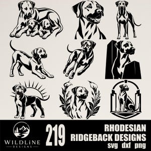 Könnte beinhalten: Eine Sammlung von schwarz-weißen grafischen Illustrationen, die Rhodesian Ridgeback Hunde in verschiedenen Posen zeigen, darunter Welpen mit einem Elternteil, laufend und sitzend. Der Text lautet 219 RHODESIAN RIDGEBACK DESIGNS svg dxf png.
