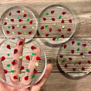 May include: A set of four circular clear coasters featuring a repeating pattern of small red ladybugs with black spots and tiny green leaves scattered across the surface. The coasters are transparent, allowing the underlying texture to be visible.