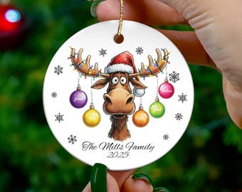 Personalized Reindeer Ornament Ceramic Ornament | Custom Family Christmas Keepsake | 2-9 Names