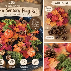 May include: An Autumn Sensory Play Kit by The Wonder Ark featuring a black tray filled with artificial autumn leaves, green moss, pinecones, and small orange pumpkins. The kit includes these items for seasonal play and sensory exploration activities.