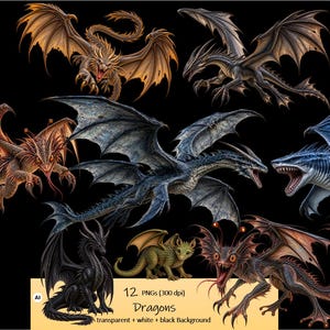 May include: A collection of twelve digital dragon illustrations featuring various species with detailed scales, wings, and horns in shades of blue, black, gold, and green. The text reads 12 PNGs (300 dpi) Dragons transparent + white + black Background.
