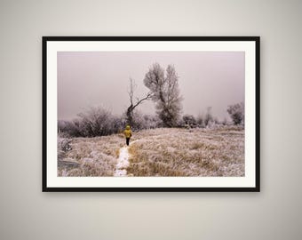 Into the Frost Print, Wyoming Winter Forest Wall Art, Frosted Trees Photography, Rustic Cabin Decor