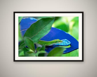 Green Anole Print, Tropical Lizard Wall Art, Macro Nature Photography, Botanical Reptile Decor