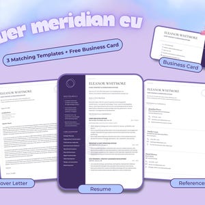 Complete Silver Meridian template set displaying the two-page executive résumé, cover letter, references sheet and coordinating business card.