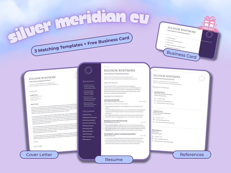 Complete Silver Meridian template set displaying the two-page executive résumé, cover letter, references sheet and coordinating business card.