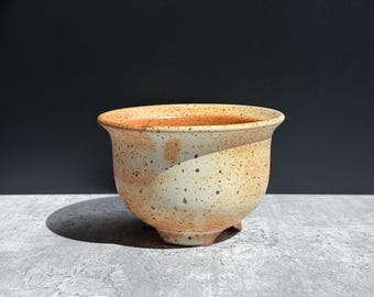 Speckled White Neo Pot - Neofinitia Falcata Planter