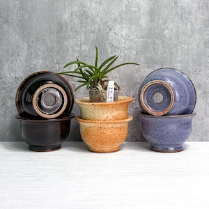 May include: Three ceramic bowls with flared rims and footed bases. One bowl is glossy black, one is speckled orange, and one is speckled periwinkle blue. A small green plant in a clear plastic pot with a white tag sits inside the orange bowl.