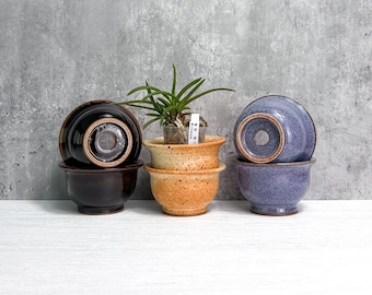 Mini Neo Pot - Petite Shallow Planters with Wide Rim and Drainage - Neofinitia Falcata Pot