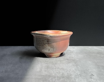 Soda Fired Neo Pot - Raw Clay Classic Neofinitia Falcata Planter - Shallow Planter with Drainage