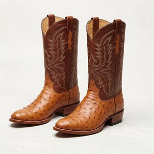 Op de afbeelding: Een paar bruine cowboylaarzen met een getextureerd, generfd leren voorblad en een gladde leren schacht. De hoge schachten zijn versierd met ingewikkelde, lichtgekleurde stikpatronen en zijn voorzien van treklussen aan de bovenranden.