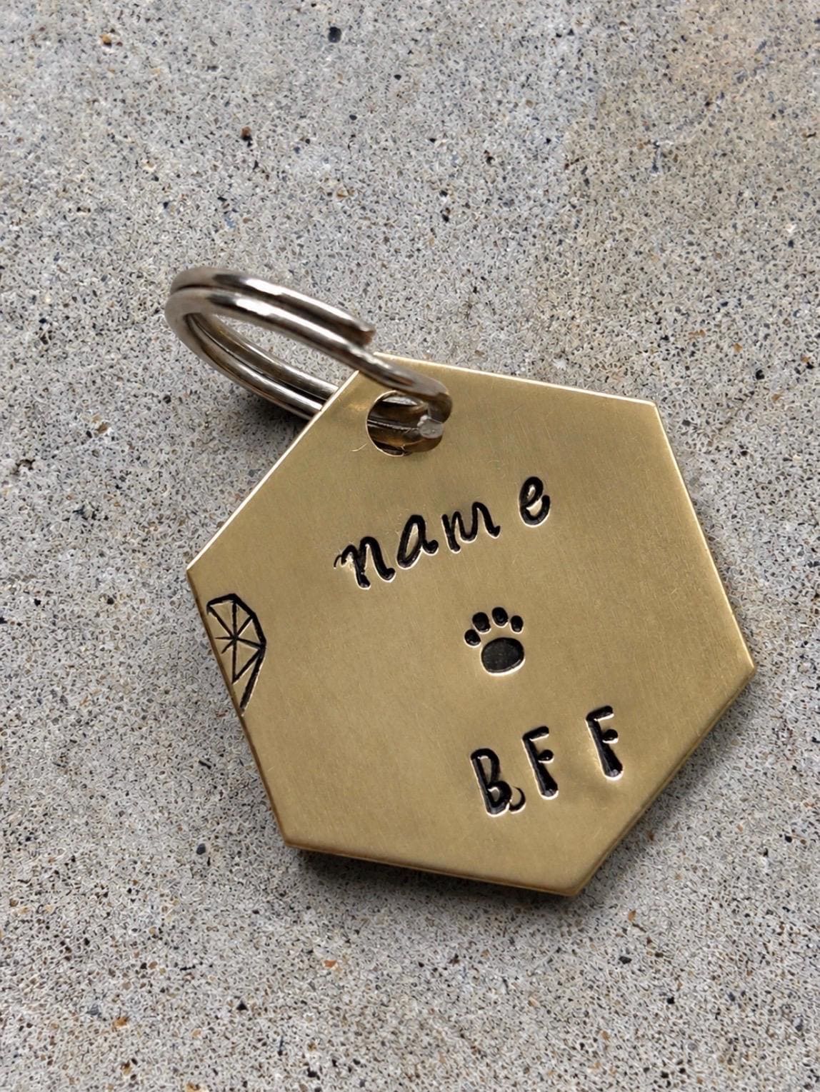 Pet and Owner Matching Necklace Set, Hexagon Pet Tag, Cat or Dog, BFF Gift, photograph 2