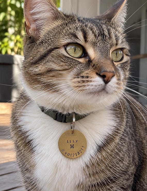 Hand-Stamped Brass Pirate Pet Tag, Skull & Crossbones, Personalized ID (35mm), photograph 1