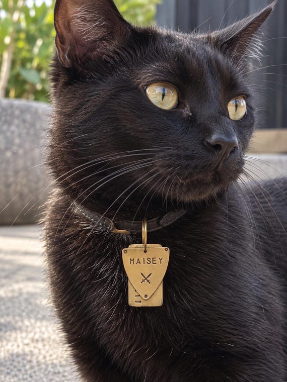 Hand-Stamped Brass Pet ID Tag, Medieval Shield, Custom Name & Phone Number (Dog or Cat), photograph 1