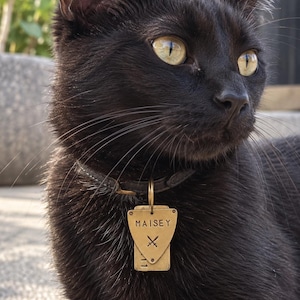 May include: A black cat wearing a dark collar with a brass pet tag. The tag is shaped like a guitar pick layered over a rectangular piece, featuring the name MAISEY engraved in capital letters above a small symbol of two crossed swords.