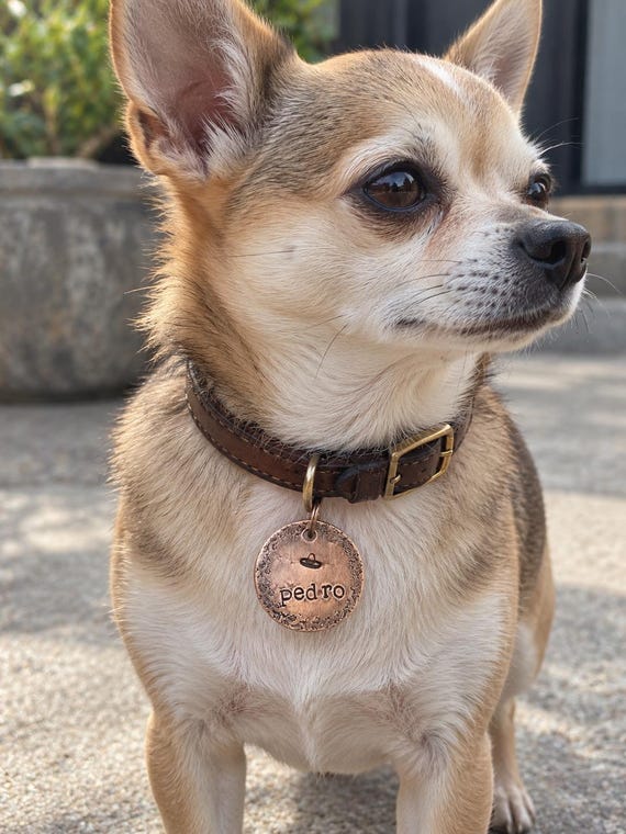 PREMIUM Design your Own Custom Pet ID Tag — Hand Stamped, Personalized Name & Picture, Copper - with border - Cat or dog tag - One of a Kind, photograph 1