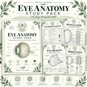 Eye Anatomy Study Pack | Optometry Coloring Pages & Worksheets | Vision Science Printable PDF