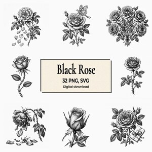 ros svg-paket, elegant ros SVG blomma linjekonst PNG, rosklippfil, roskontur, digital nedladdning