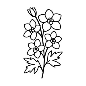 以下が含まれることがあります： 5枚の花びらを持つ3つの満開の花、頂部の閉じた蕾、そして中央の茎の基部にある2枚のギザギザした深く裂けた葉が描かれた、黒と白の線画による花のイラストレーションです。