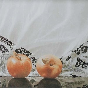 Cartes vierges imprimables 5 X 7 enveloppe blanche par Greg Mort Greg Mort Gift Cards bagd sets APPLE Series 5 X 7