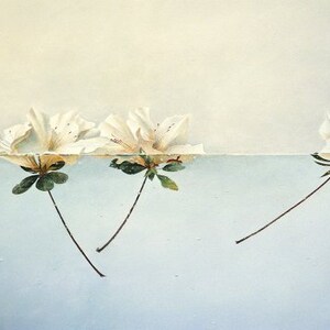 Azaleas Afloat  Limited Edition Signed Lithograph Image size 9 X 14 Paper size 14 X 18 Greg Mort