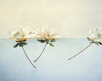 Azaleas Afloat  Limited Edition Signed Lithograph Image size 9 X 14 Paper size 14 X 18 Greg Mort