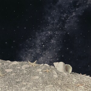 Könnte beinhalten: Eine Muschel liegt auf einem Bett aus Muscheln und Seesternen vor einem dunklen Nachthimmel mit einer Milchstraße aus Sternen.