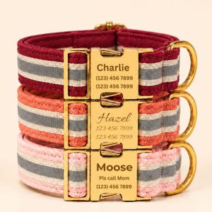 May include: Three pet collars stacked vertically in burgundy, coral, and light pink. Each collar features a gold-tone metal buckle engraved with a name and phone number, including Charlie, Hazel, and Moose, plus a gold-tone D-ring for a leash.