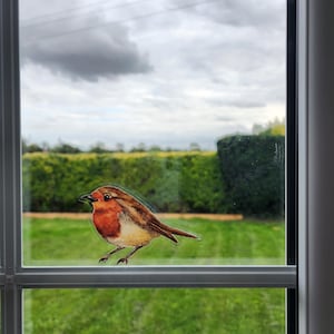 May include: A window sticker featuring a detailed illustration of a European robin with a bright orange-red breast, brown wings, and a white belly. The bird is depicted in profile, facing left, with thin dark legs and a small black beak.