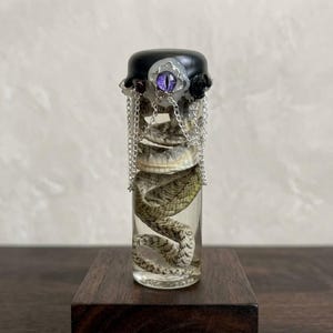 Puede incluir: Un vial cilíndrico de vidrio transparente lleno de líquido y una piel de serpiente enrollada. La tapa negra está adornada con un cabochon central de ojo morado, pequeñas rosas negras y cadenas de metal plateado que cuelgan a los lados.