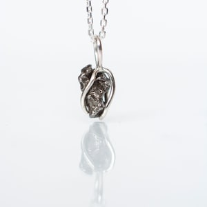 Meteorite Pendant, Small - Campo del Cielo and Sterling Silver, Caned Gemstone Necklace